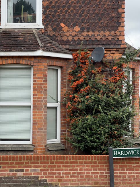 The image depicts a brick residential building with a large, leafy shrub with red and green foliage growing beside it. The building features two white-framed windows, one large with closed blinds and 