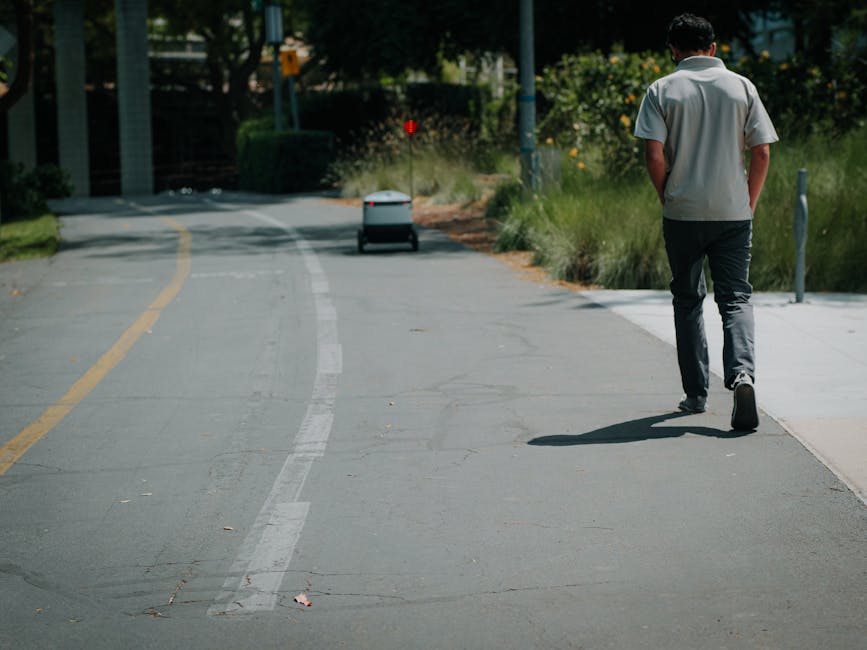 A young man walking along an urban sidewalk on a sunny day, wearing a light grey short-sleeved shirt and dark trousers, with his hands in his pockets. The sidewalk is bordered by green foliage, bushes