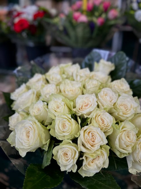 A bouquet of fresh ivory roses with slightly tinted pink edges, arranged in a tight, rounded cluster on a table. The roses exhibit soft, velvety petals and sturdy green stems with glossy leaves. The b