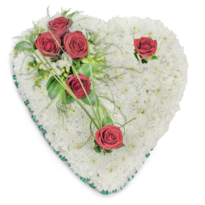 This traditional heart-shaped funeral spray presents a full, cushioned field of immaculate white chrysanthemums, each petite bloom placed closely to create a continuous, soft-textured surface that reads as an emblem of pure remembrance. A slender band of emerald-green satin trims the perimeter, providing an understated but definitive outline to the classic heart silhouette. A grouped trio of deep red roses sits on the upper left quadrant, their petals unfurled and lush, set against a backdrop of rich green foliage - broad, glossy leaves and airy fern-like fronds - with a few long, graceful blades of bright green grass that extend outward to add line and motion. Two additional crimson roses are deliberately positioned for balance: one near the top right curve and the other at the lower point of the heart; each is accompanied by minimal green sprigs so the single blooms register as poignant, reflective accents. The arrangement is photographed on a clean white ground with soft overhead illumination that reveals subtle depth and shadow across the chrysanthemum field and highlights the roses' velvety surfaces. The overall composition demonstrates precise floristry technique and restraint, a sympathetic piece intended to convey respect, lasting affection, and comfort. It would sit fittingly at a funeral or memorial service in Deptford or nearby Greenwich and Lewisham, quietly marking a life with dignity and calm presence.