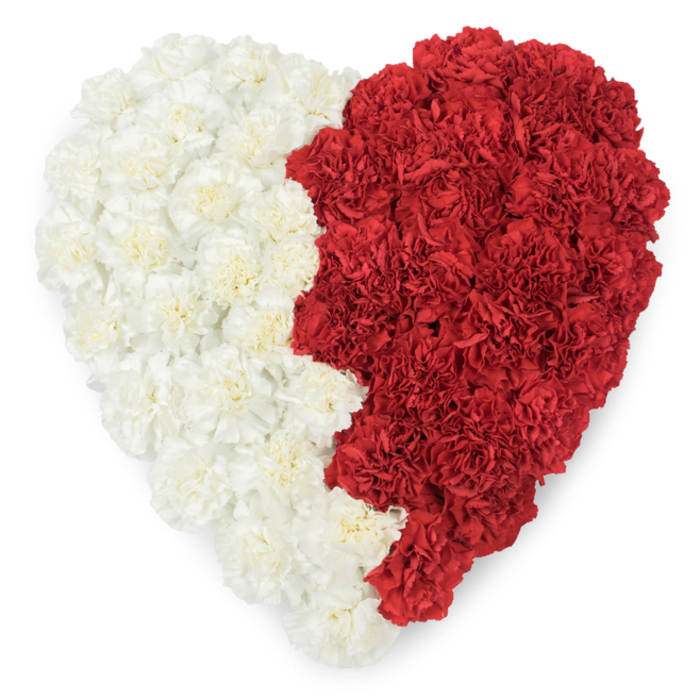 A striking, formal heart-shaped composition of fresh carnations, photographed from directly overhead so the pattern reads clearly against a plain white ground. The left half is a uniform field of creamy, ivory carnations whose ruffled petals curl in layered rows to produce a soft, cushiony texture; the right half is filled with dense, deep-red carnations whose compact, serrated edges lift slightly to catch the light and emphasise richness. Where the two halves meet, the seam is cut into a distinctive jagged line with a series of nine triangular points-an intentional geometric motif that strongly echoes the zigzag border found on the national flag of Qatar. The arrangement's neat outer heart silhouette and the precisely carved inner edge create a powerful symbol that speaks of patriotism, official commemoration, or floral homage at diplomatic events. The lighting is neutral and even, accentuating the contrast between the pale and dark petals and revealing the delicate texture of each carnation's frilled margin. Locally, such a piece may be chosen for gatherings close to Deptford Creek or for cultural observances attended by the community near Greenwich, where residents and visitors alike recognise symbolic floral designs. The craftsmanship - measured spacing of blooms, a clean background, and a clear visual concept - makes this image useful for editorial content about national identity, civic ceremonies, or floral services offered within Deptford and surrounding boroughs on deptfordflorist.co.uk.
